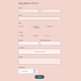 Bug Report Form
