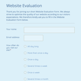 Website Evaluation Form
