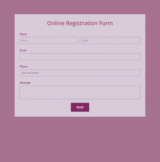 <strong>Registration Form</strong>