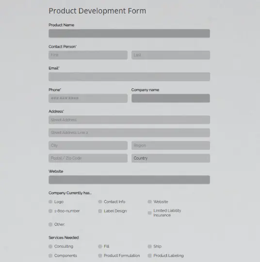 Product Development Form