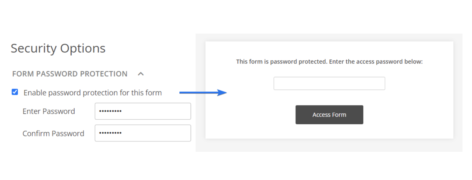 123FormBuilder Form Password