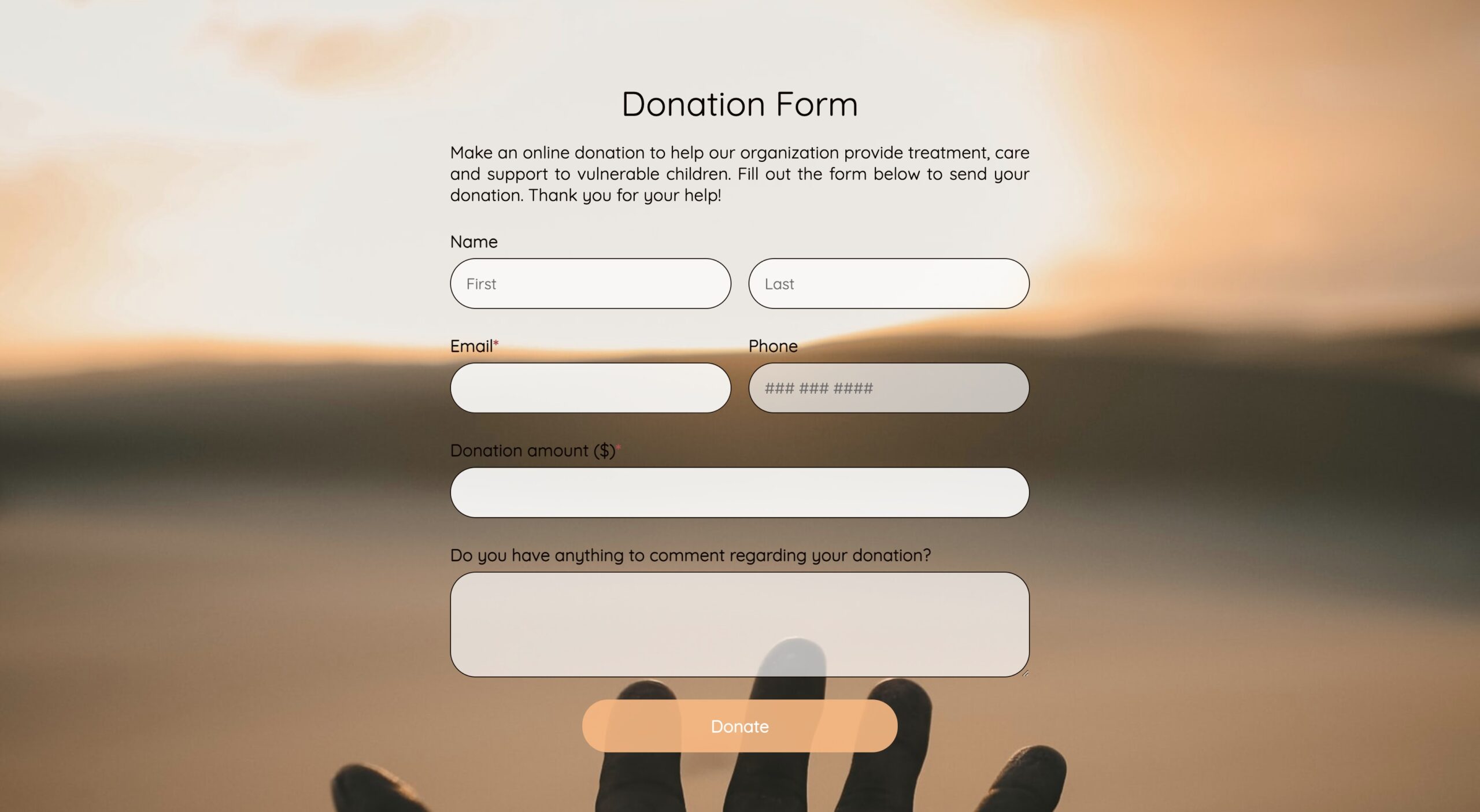 donation form template screenshot