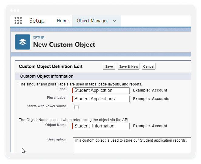 image showing how to create a custom object in Salesforce